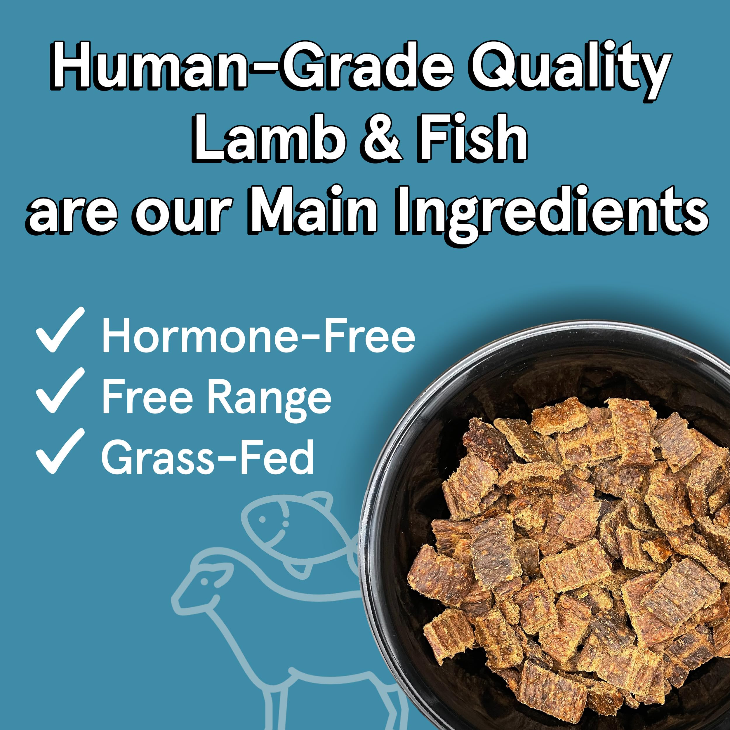 TRMC real meat air dried dog food bowl scene showing appetizing texture.