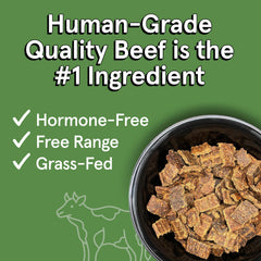 TRMC USA-crafted grain-free dog food bag on kitchen counter