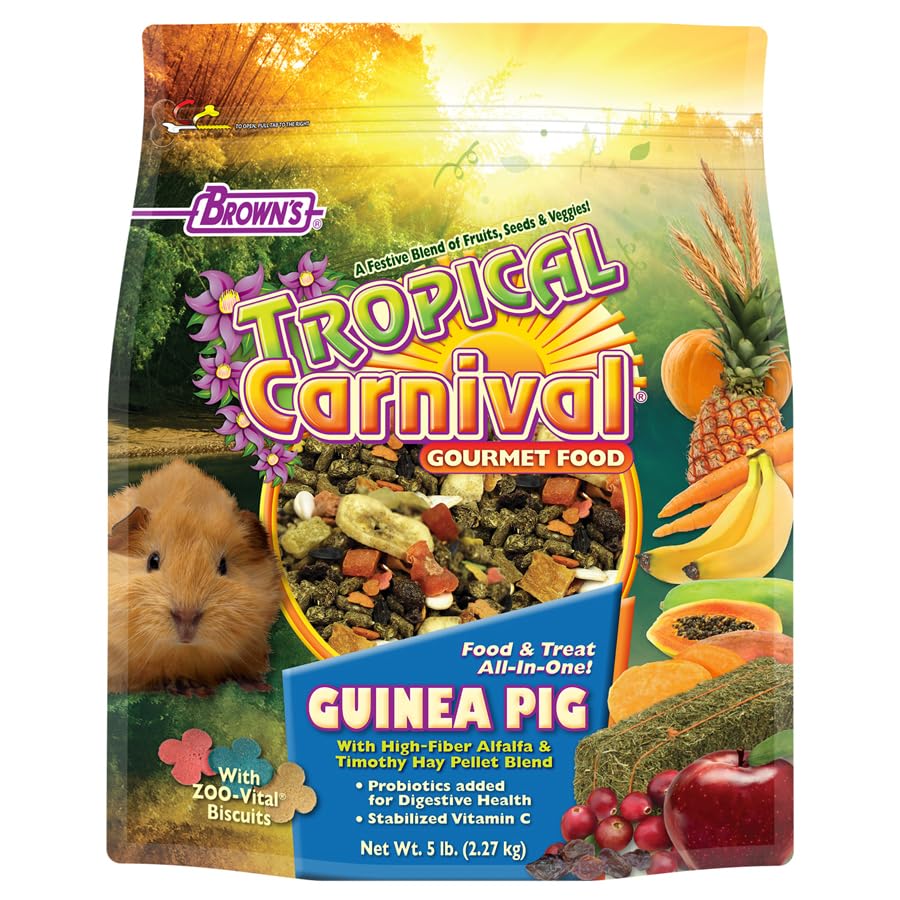 Tropical Carnival Gourmet Guinea Pig Food serving bowl ideal for steady mealtime and portion control.