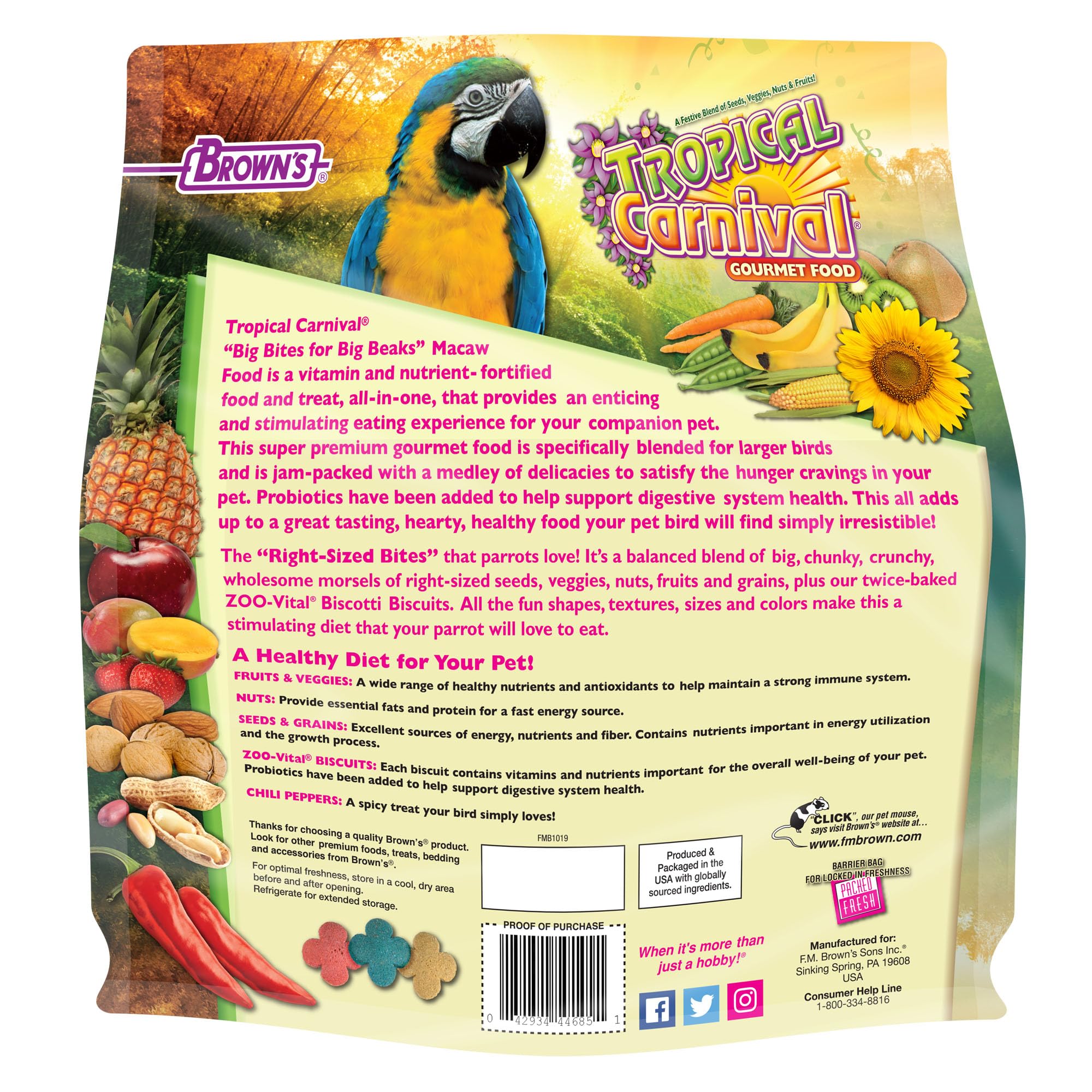 Tropical Carnival macaw food serving bowl ready for a nutritious mealtime.