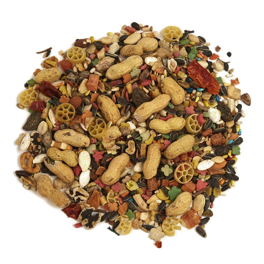 Tropical Carnival Omega-3 fatty acids image emphasizes nourishing fats for a healthy coat and energy.