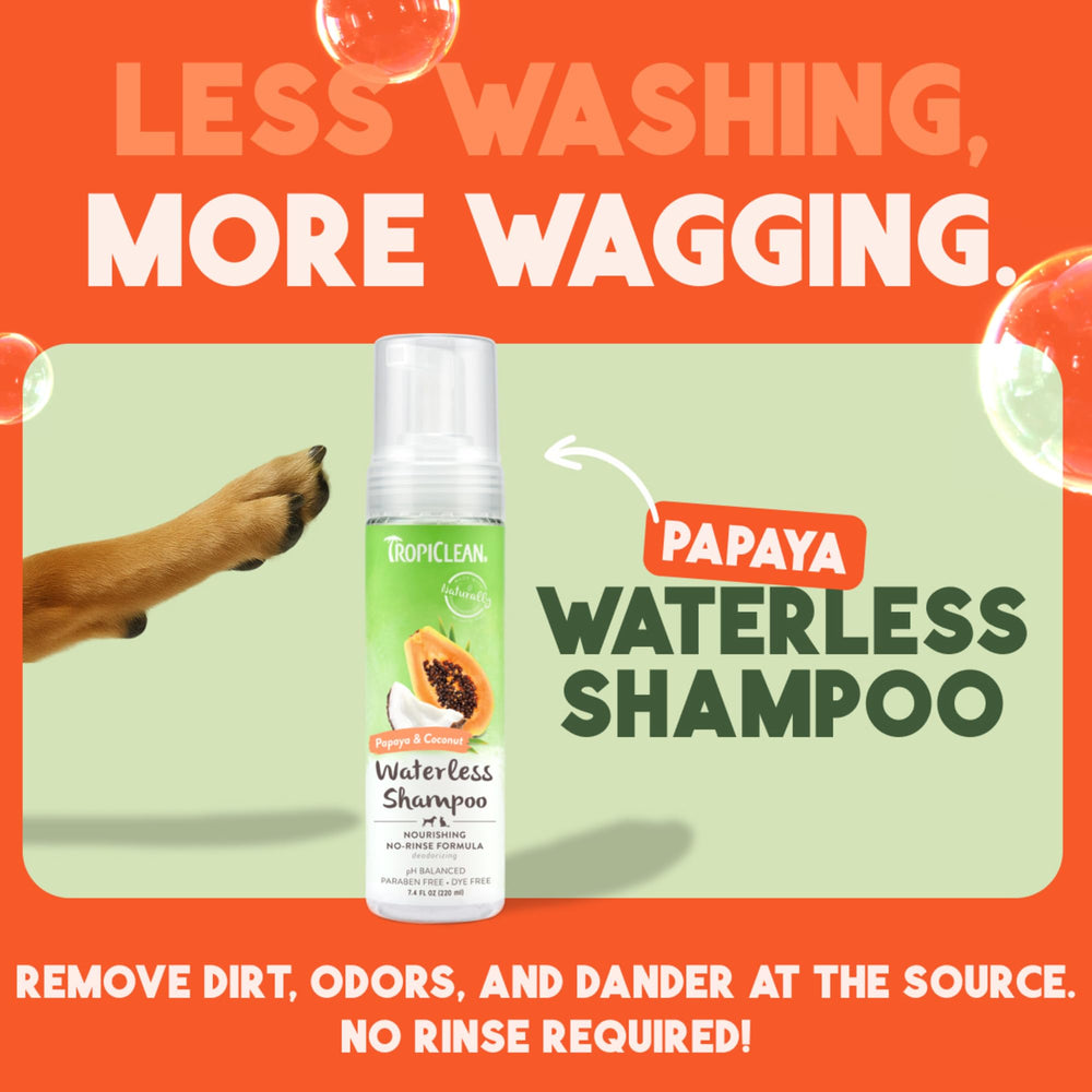 TropiClean aroma papaya y coco para perro, refresca su pelaje.
