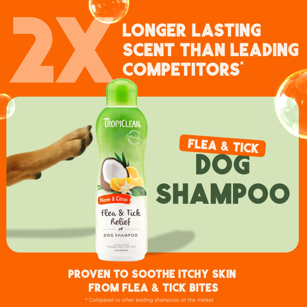TropiClean champú cítrico para perro, alivio de picazón con neem.