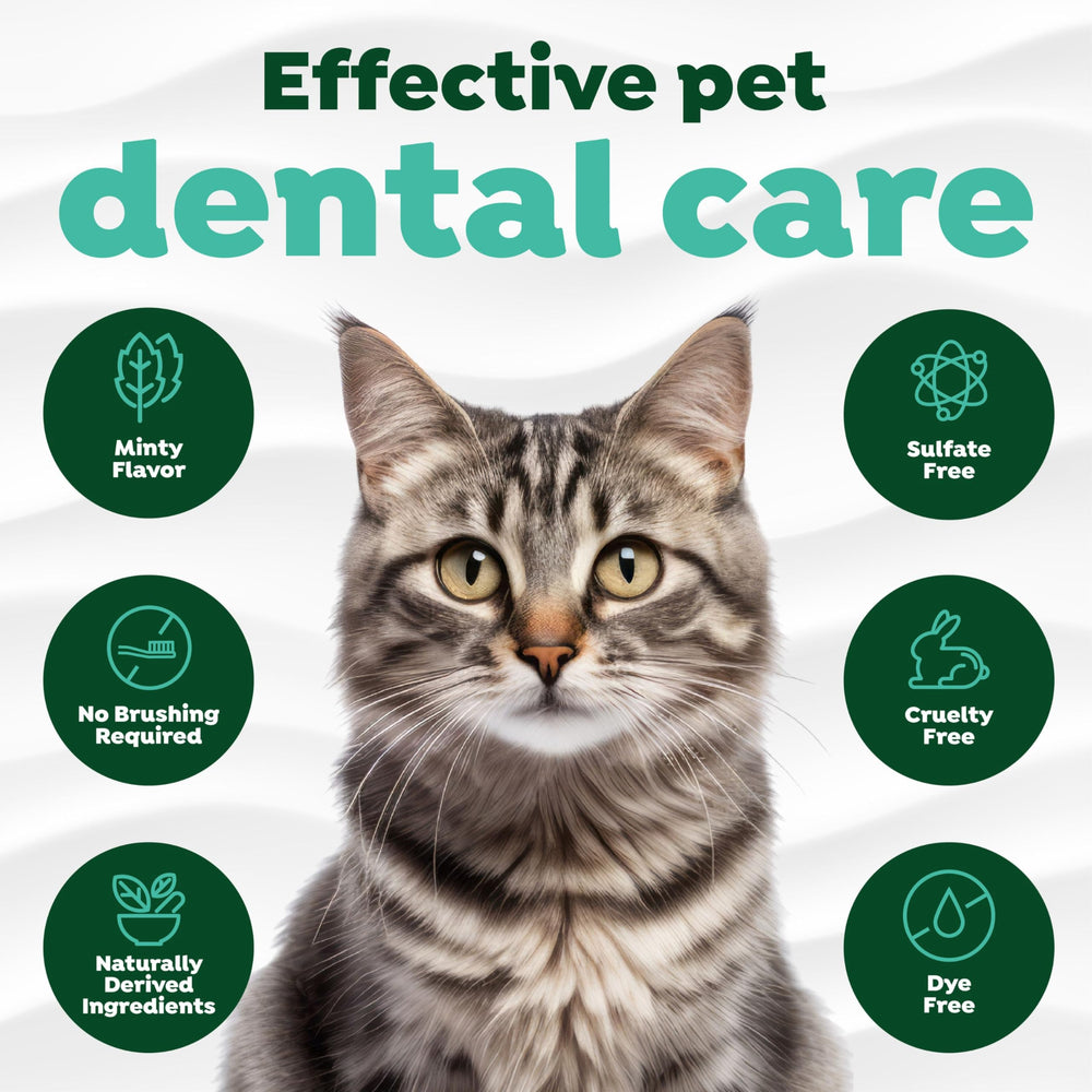 TropiClean cuidado oral para gatos, reduce placa y sarro.