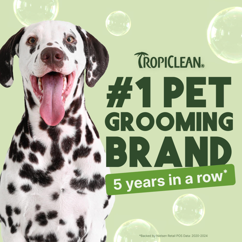 TropiClean deodorizing dog shampoo after-bath scene with a clean, refreshed coat