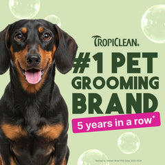 TropiClean deodorizing dog shampoo berry scent close-up highlights refreshing aroma for pets.