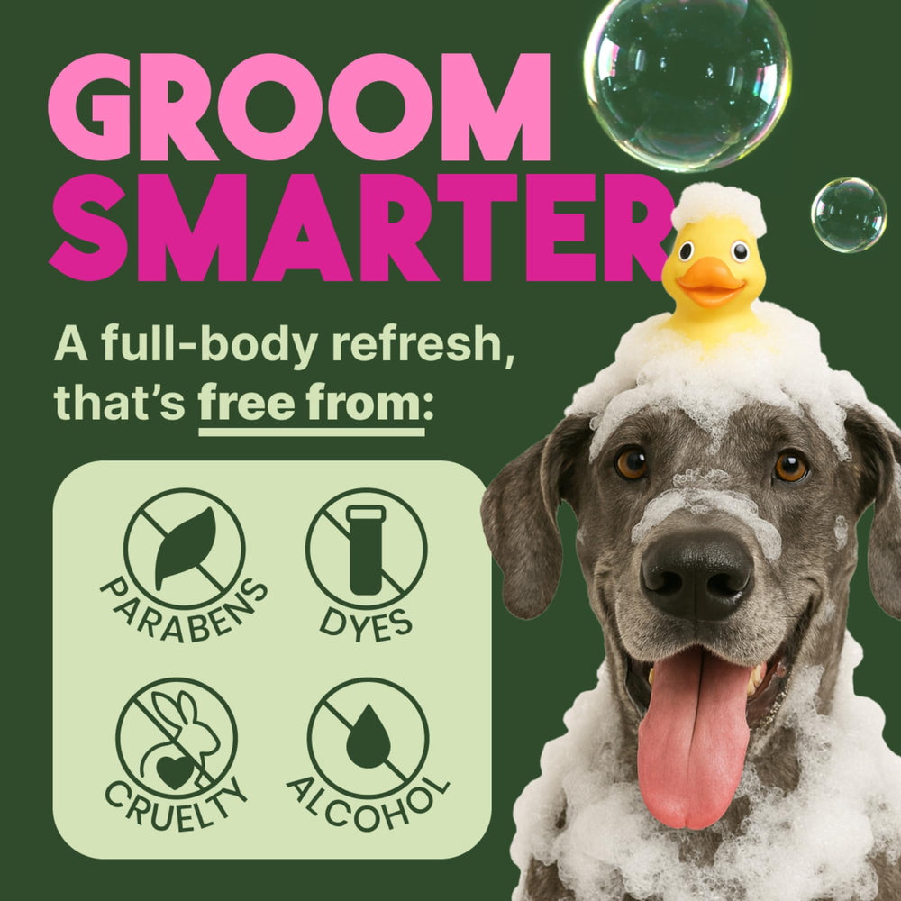 TropiClean deodorizing dog shampoo pH-balanced bottle emphasizes skin-friendly formula.