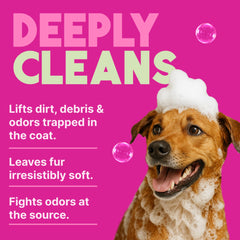 TropiClean deodorizing dog shampoo USA Made label signals quality grooming and trusted origin.