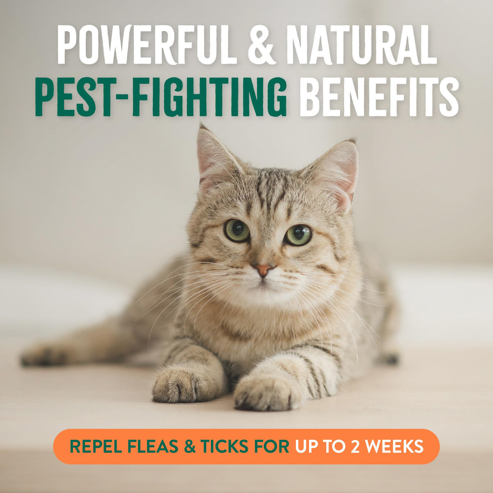 TropiClean flea-tick-spray cedarwood-rosemary-blend signals natural defense for pets.