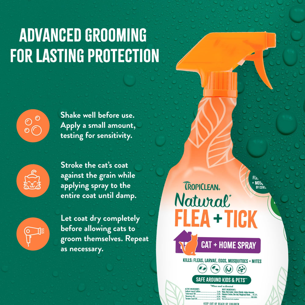TropiClean waterless-application demonstrates no-bath convenience and rapid coat drying.