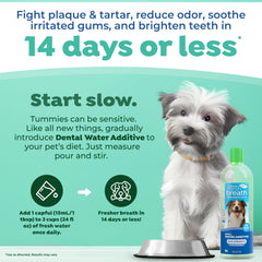 TropiClean Fresh Breath bowl-mix setup demonstrates seamless integration with drinking water