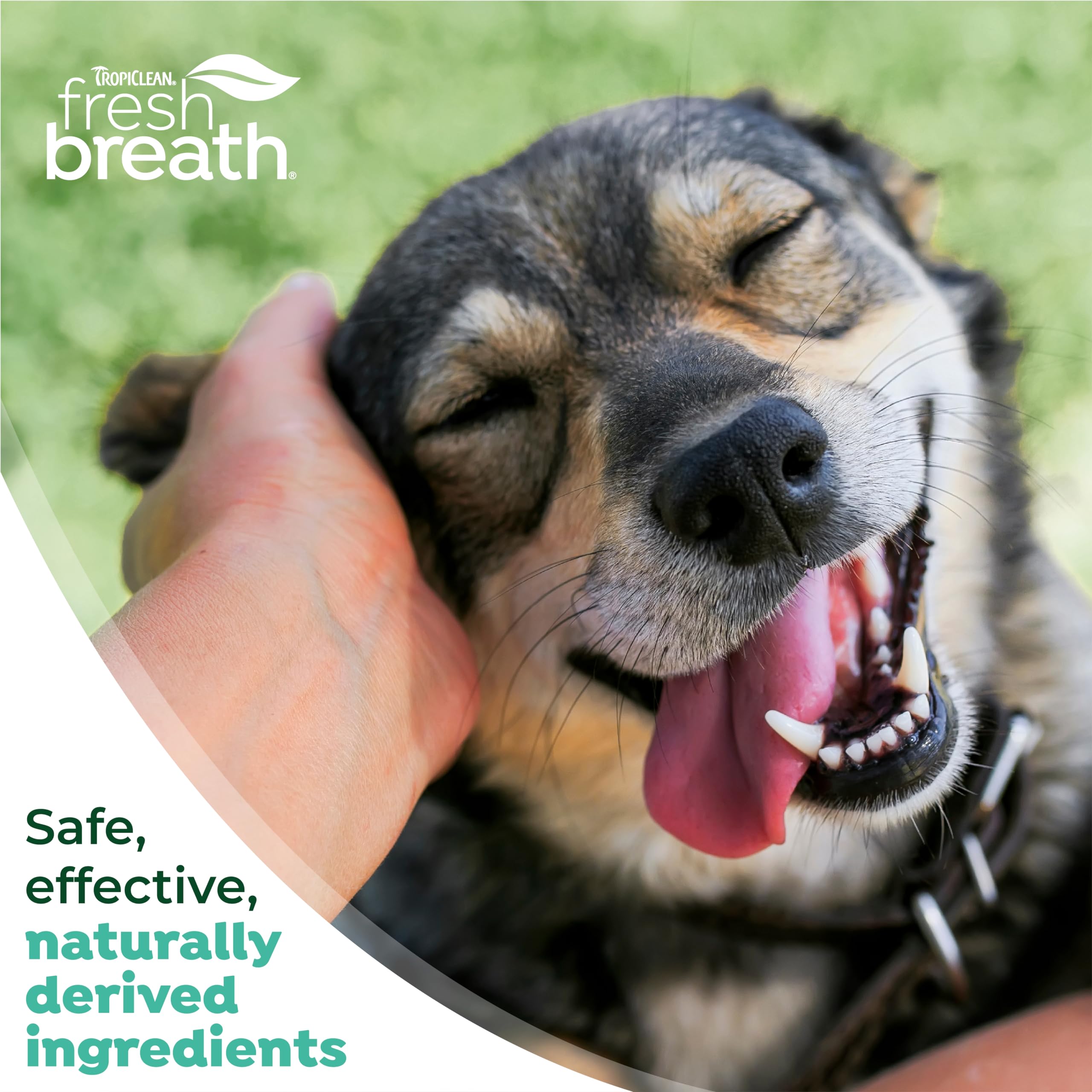 TropiClean Fresh Breath Kit display showing all components together.