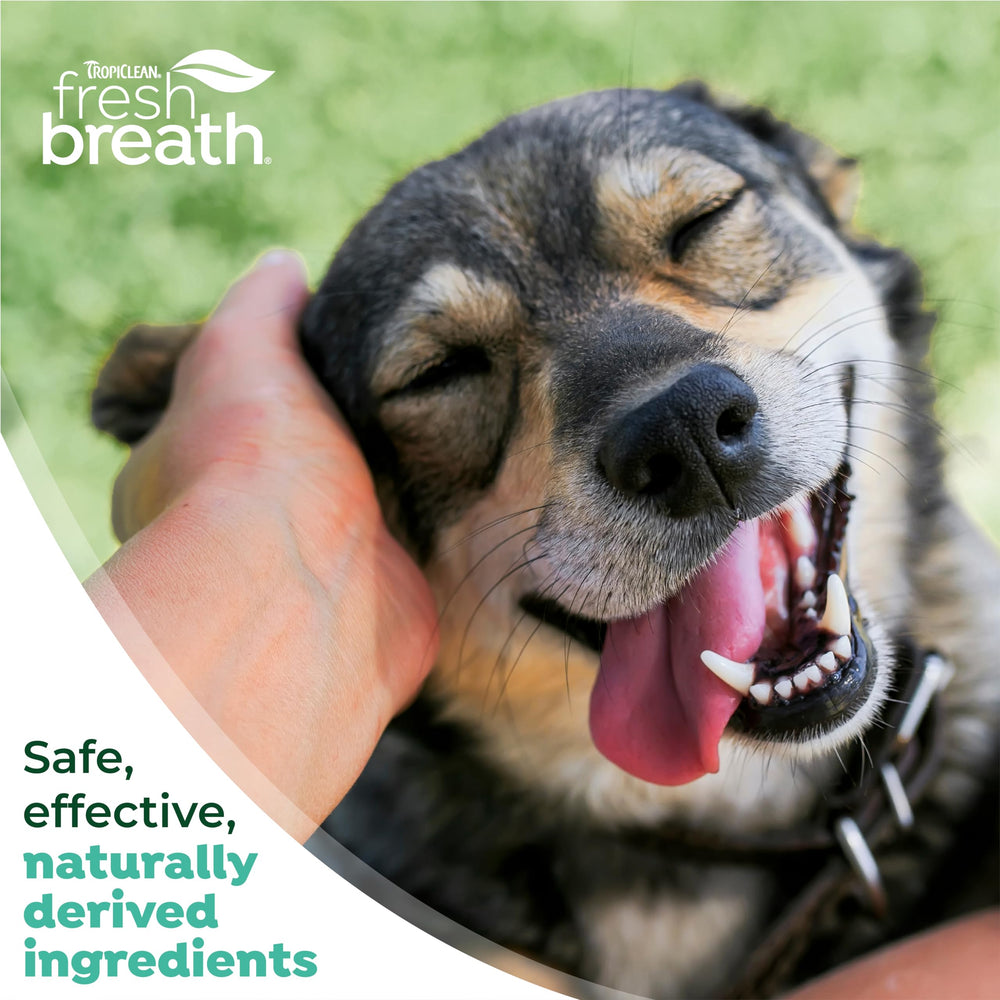 TropiClean Fresh Breath Kit display showing all components together.