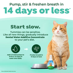 TropiClean Fresh Breath Drops tasteless formula keeps cats comfortable.