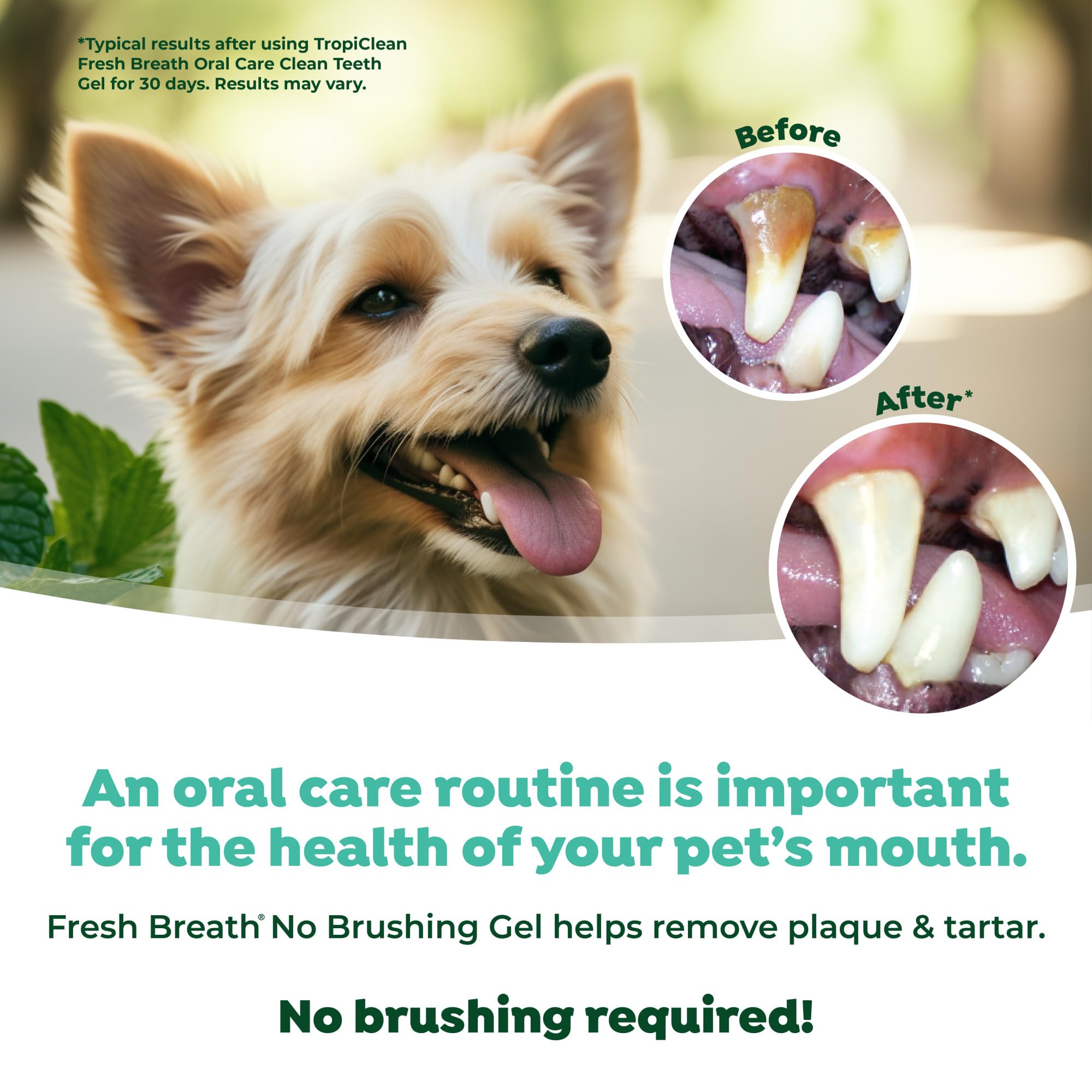 TropiClean Fresh Breath two-drops-per-side application shows simple daily routine