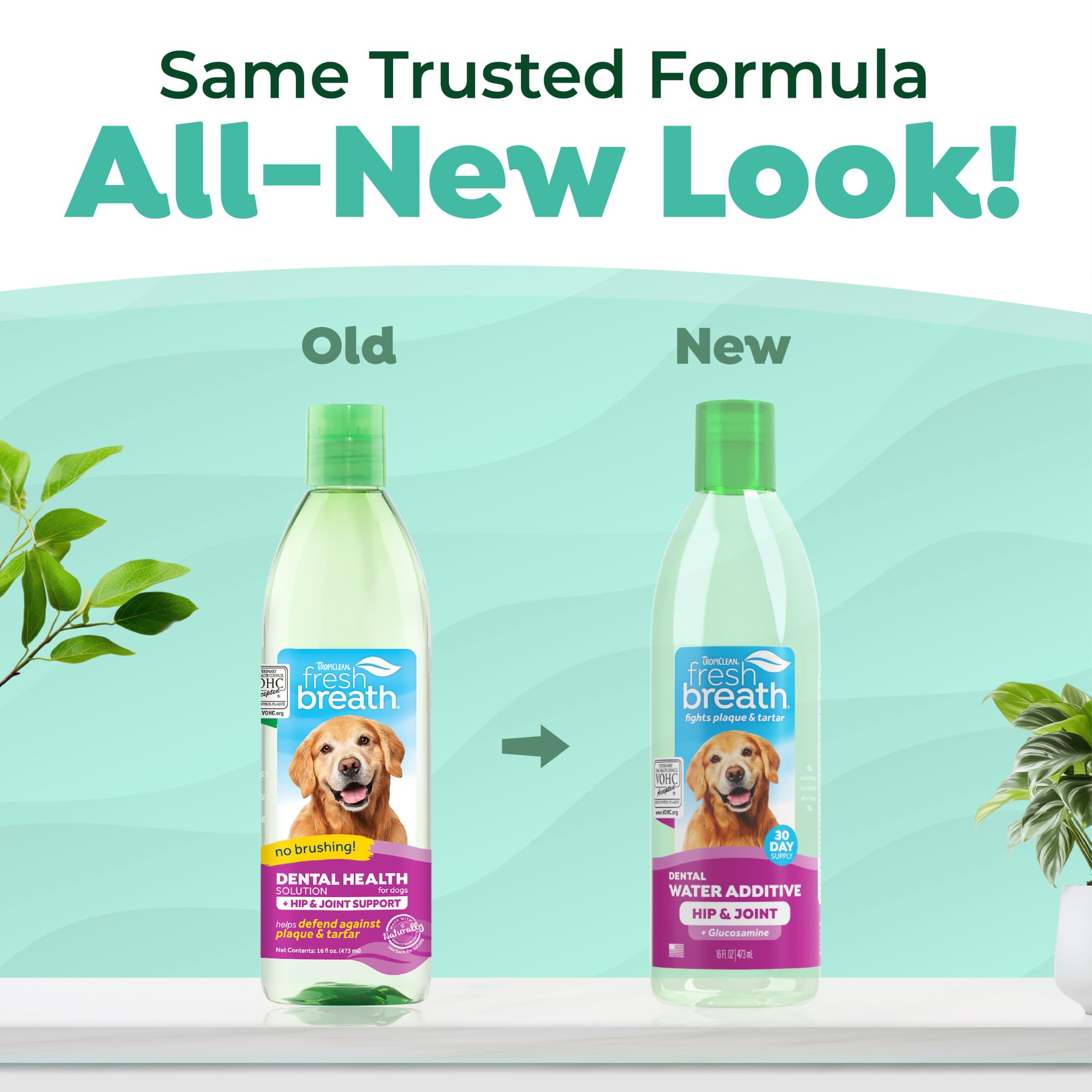 Dog drinking water with TropiClean additive for breath freshness