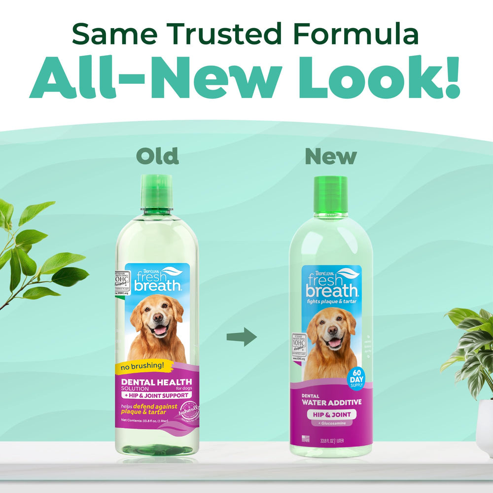 Dog drinking water with TropiClean Fresh Breath Water Additive