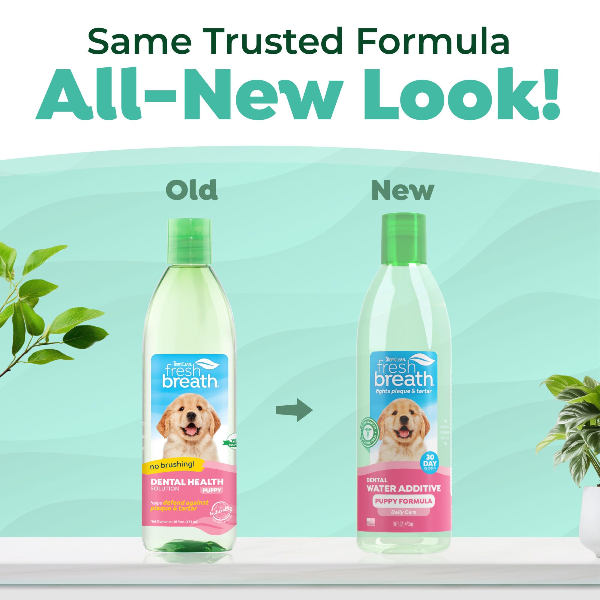 TropiClean Fresh Breath Water Additive in water bowl: promotes simple daily oral care.