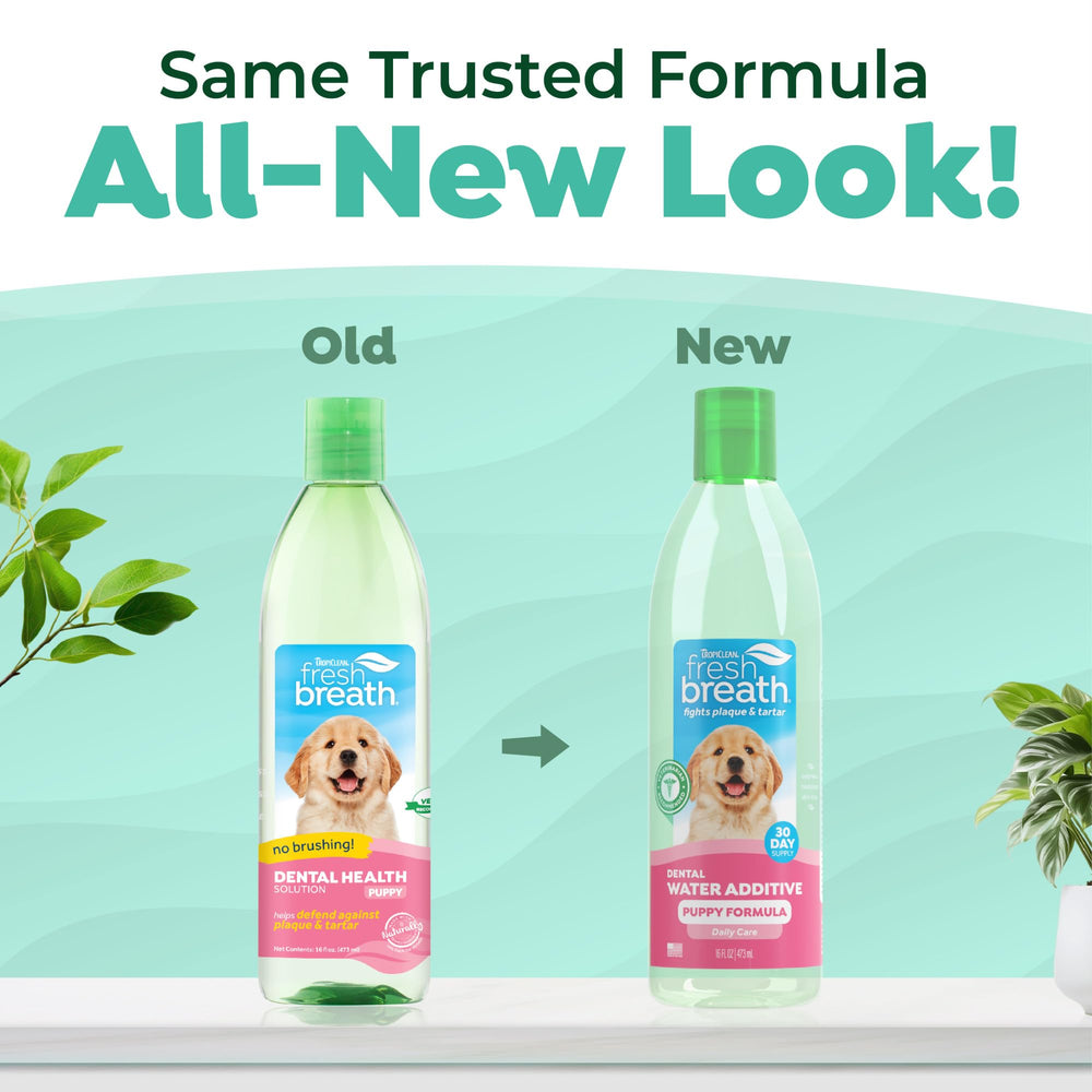 TropiClean Fresh Breath Water Additive in water bowl: promotes simple daily oral care.
