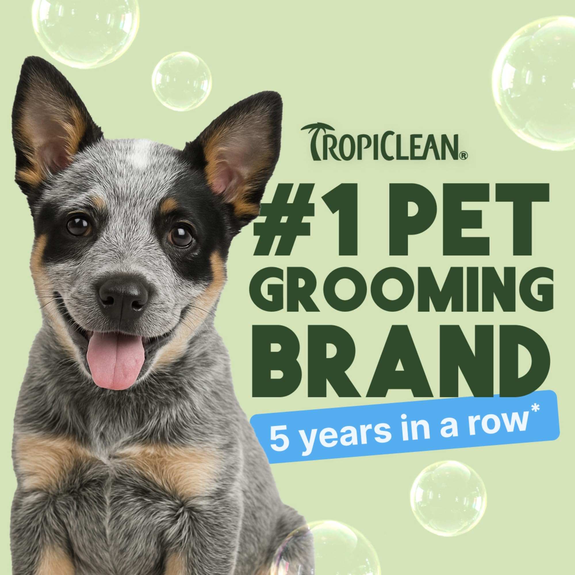 TropiClean Gentle Puppy Shampoo coat closeup highlights soothing formula for sensitive skin