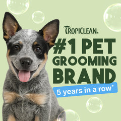 TropiClean Gentle Puppy Shampoo coat closeup highlights soothing formula for sensitive skin