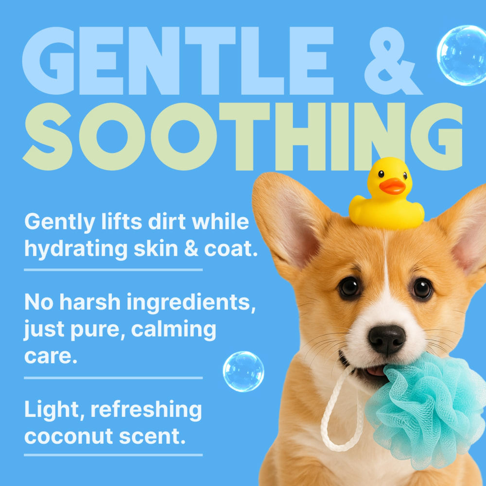 TropiClean Gentle Puppy Shampoo foam pour emphasizes economical use and ease