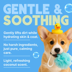 TropiClean Gentle Puppy Shampoo foam pour emphasizes economical use and ease