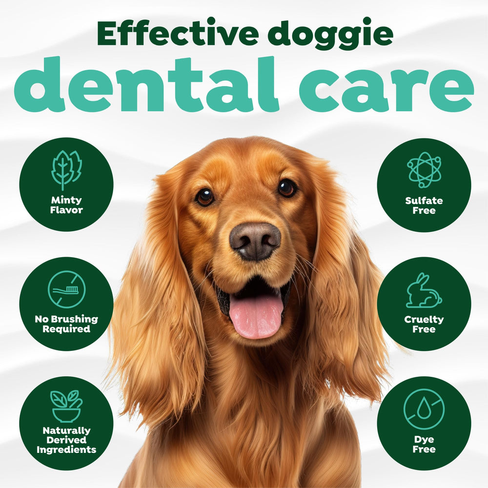 TropiClean: higiene oral para perros y gatos en la rutina diaria.