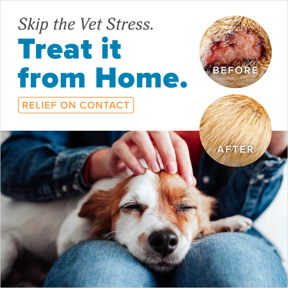 TropiClean HomeVet packaging 1 oz tube on clean surface.