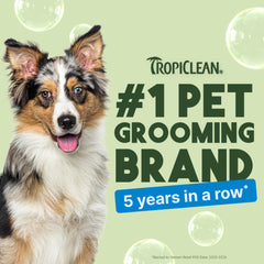 TropiClean lime cocoa butter scent closeup evokes fresh, long-lasting freshness.