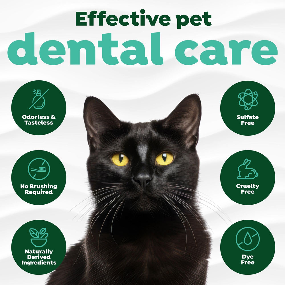 TropiClean limpieza bucal completa en cada dosis para gatos