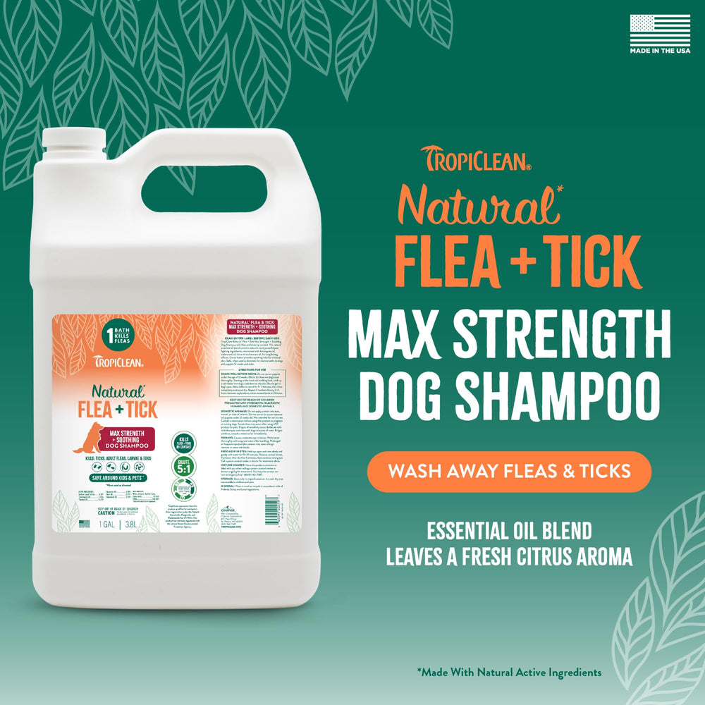 TropiClean Max Strength Shampoo dogs lather demonstrates effective pest removal in a single bath