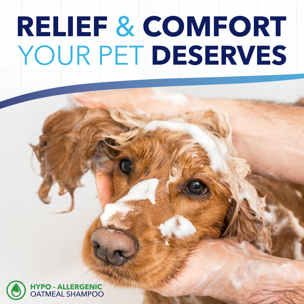 TropiClean OxyMed USA-made label highlights vet-recommended soap-free formula.