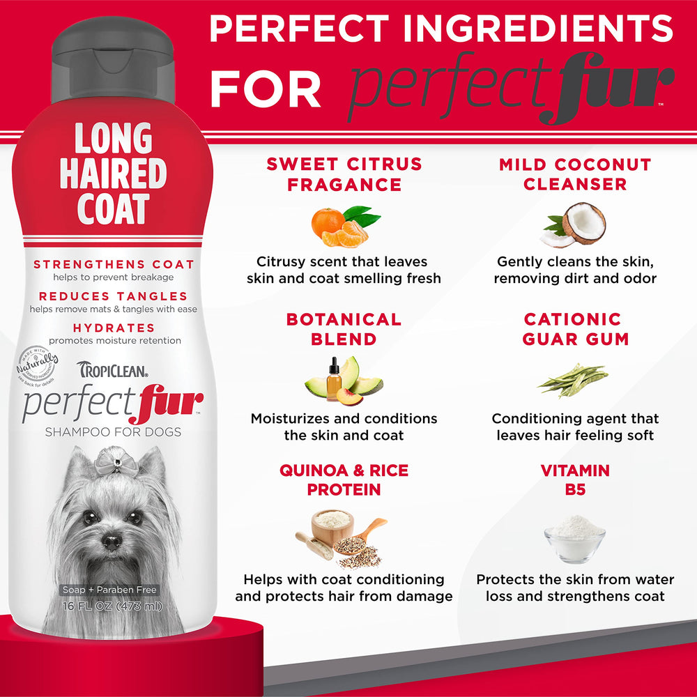 Long fur coat after wash with TropiClean Perfect Fur for softer, manageable hair
