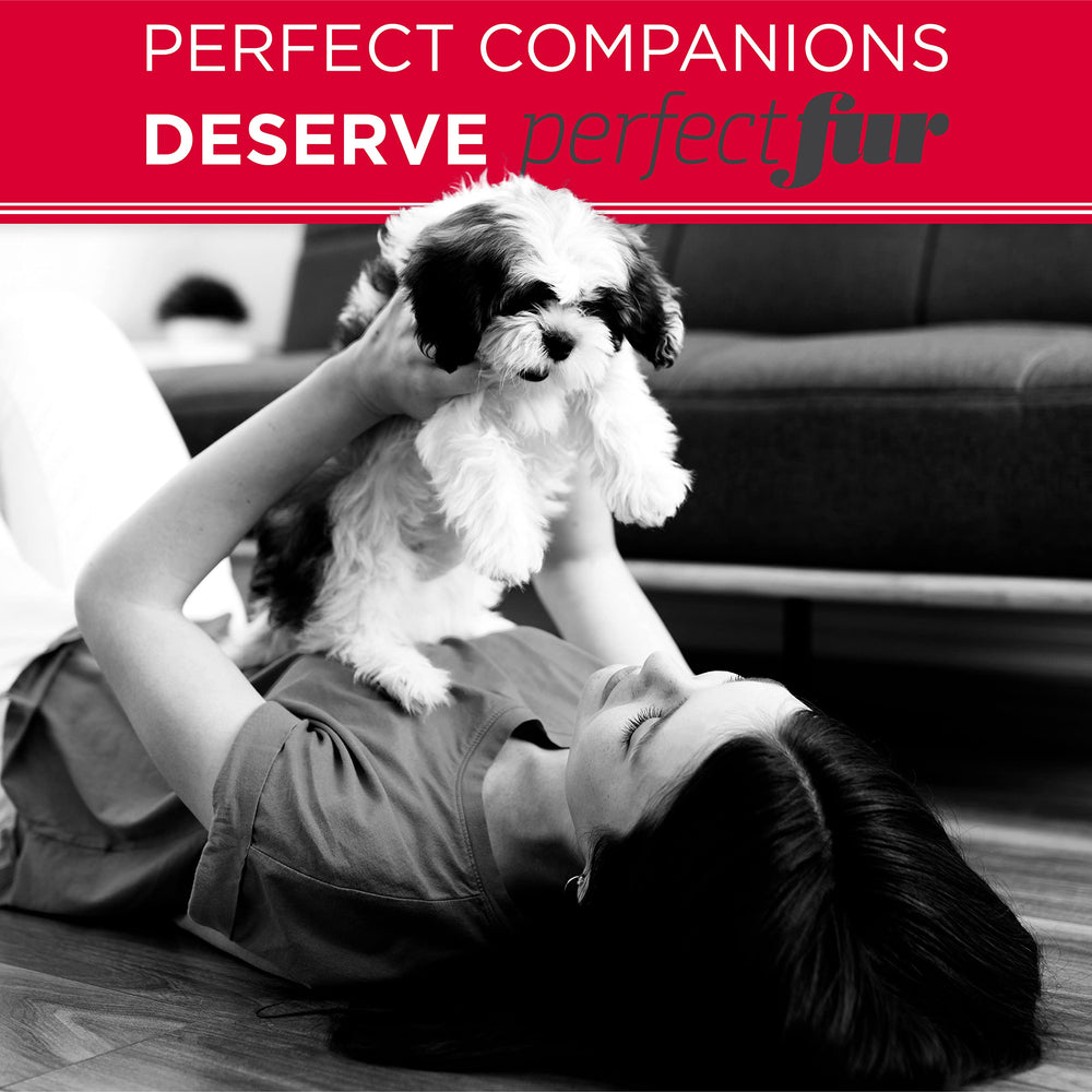 Puppy-safe TropiClean Perfect Fur ready for detangling on a small dog