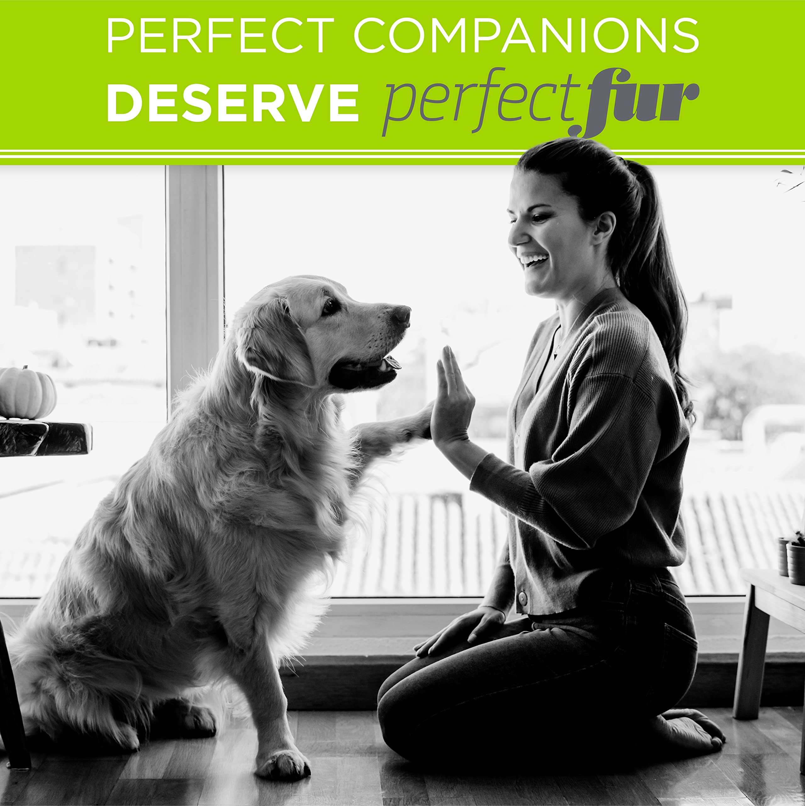 TropiClean Perfect Fur dog-coat care on long and short fur.