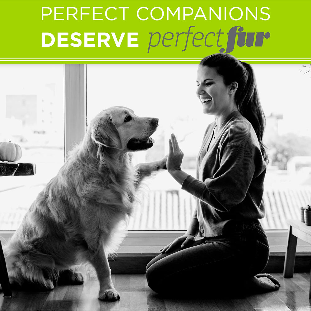 TropiClean Perfect Fur dog-coat care on long and short fur.