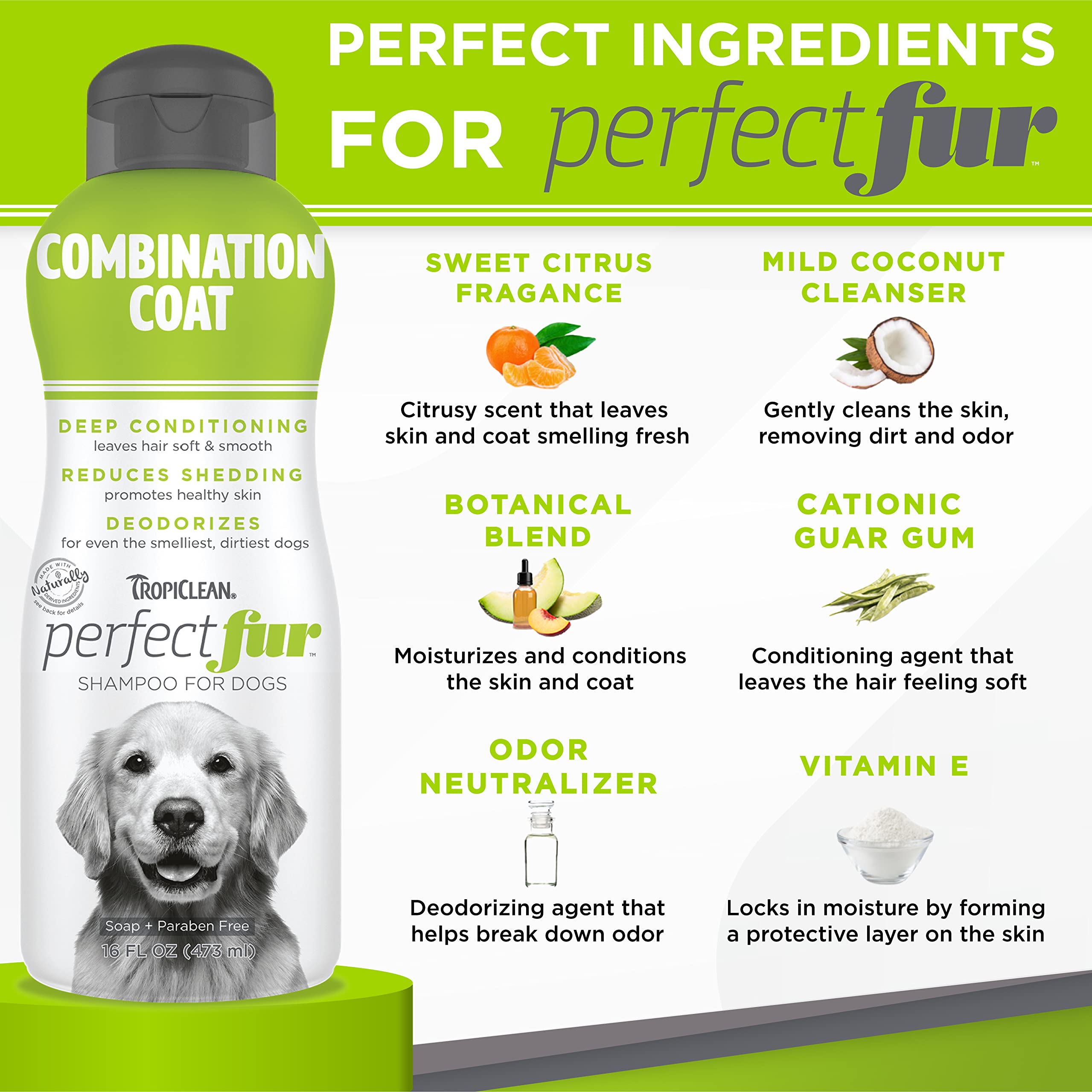 TropiClean Perfect Fur shampoo lather forms rich foam for gentle cleansing.