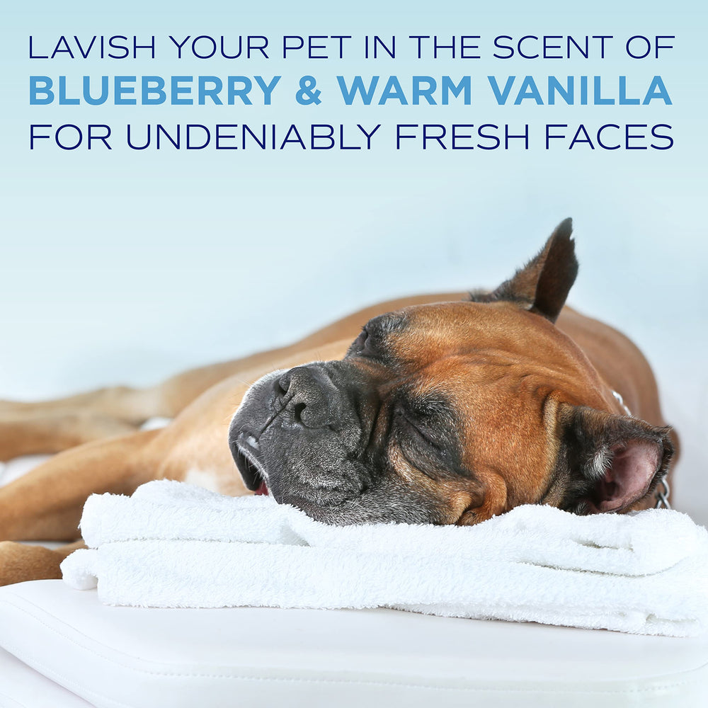 TropiClean spa pet bath setup in a bright grooming area