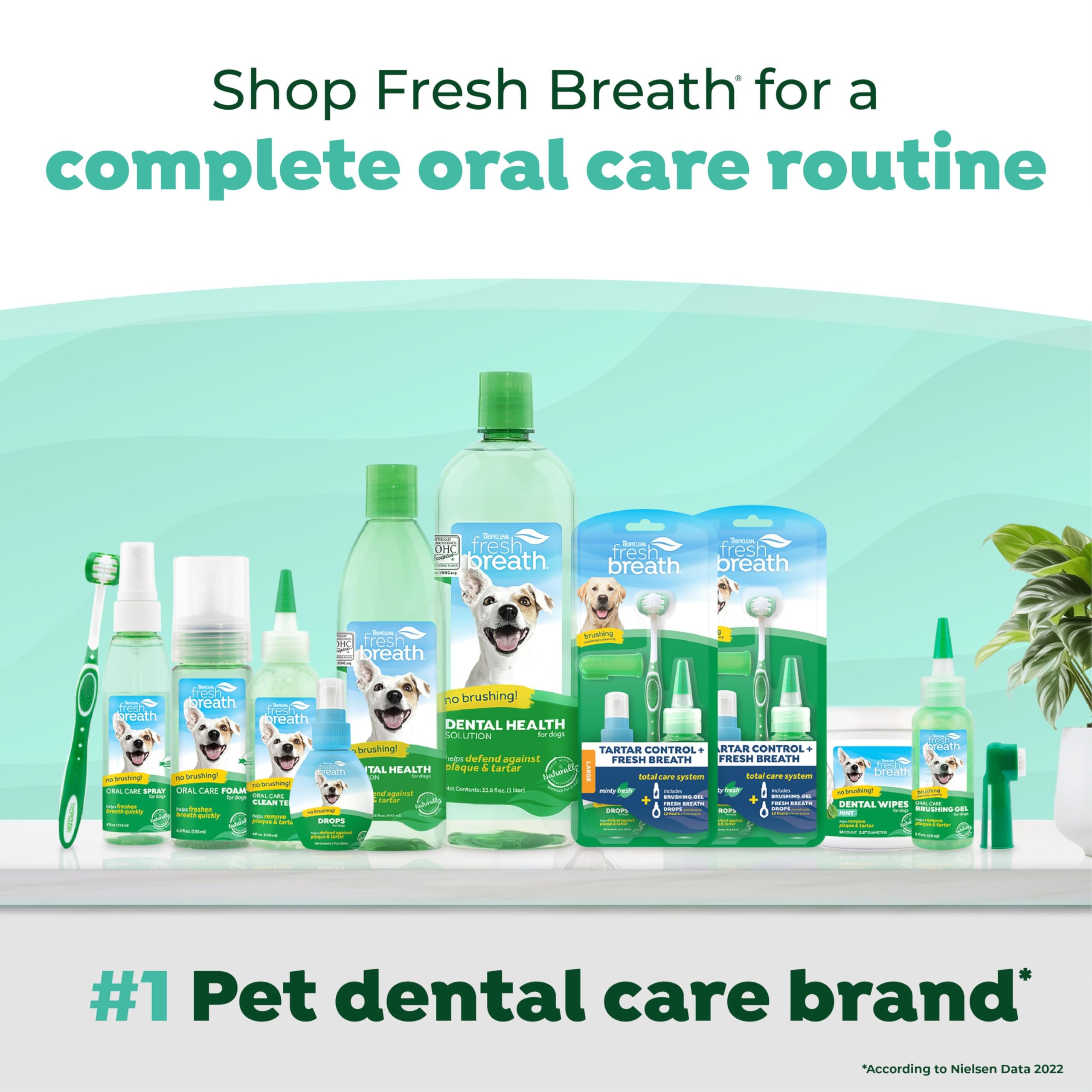Happy large dog after routine with TropiClean Total Care, fresher breath.