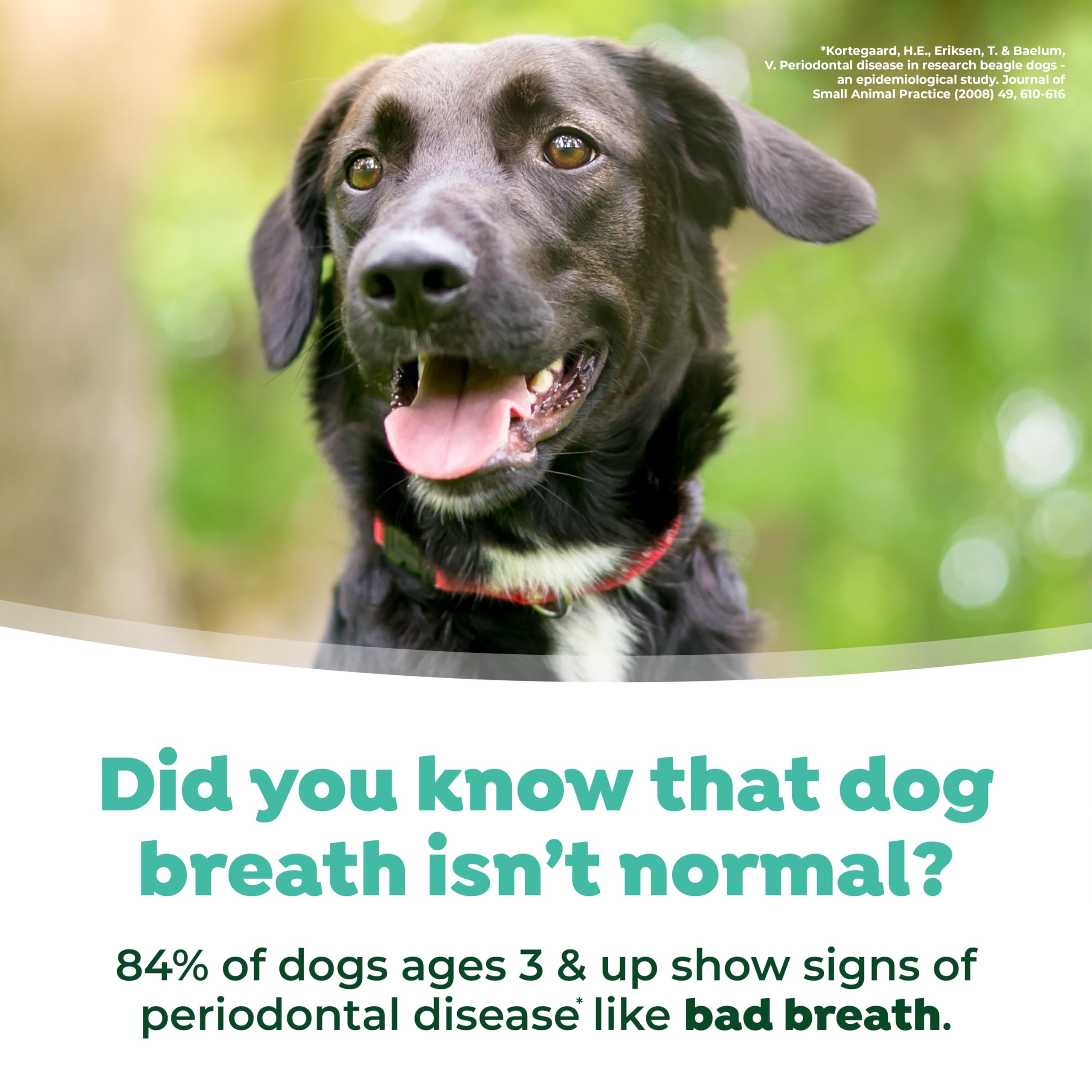 TropiClean VOHC-approved label signals veterinary-approved dental care for dogs.