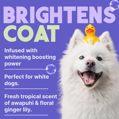 TropiClean Whitening Dog Shampoo scent image conveys tropical aroma for odor control
