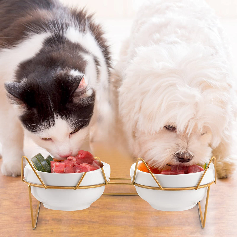 Trosetry dishwasher-safe bowls simplify cleaning after meals.