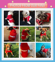 Trudz PET Security dog hoodie pink worn by dog demonstrates warmth and style.