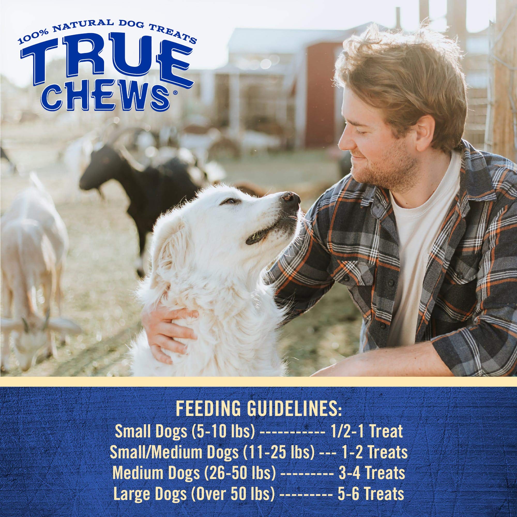 True Chews chicken jerky bites training reward—protein-rich snack for active dogs.