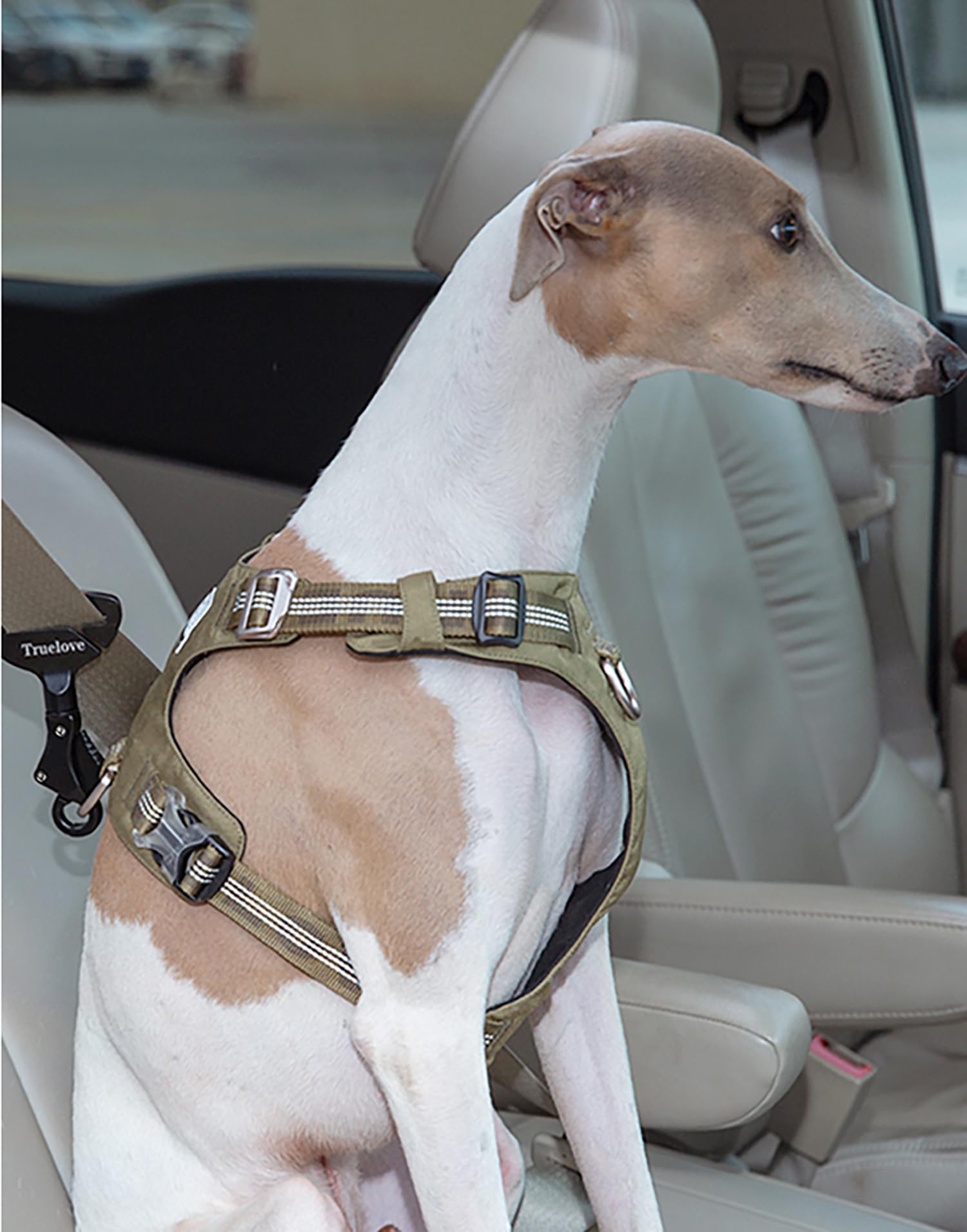 TRUE LOVE car-travel setup shows ready-to-use safety system for dogs.