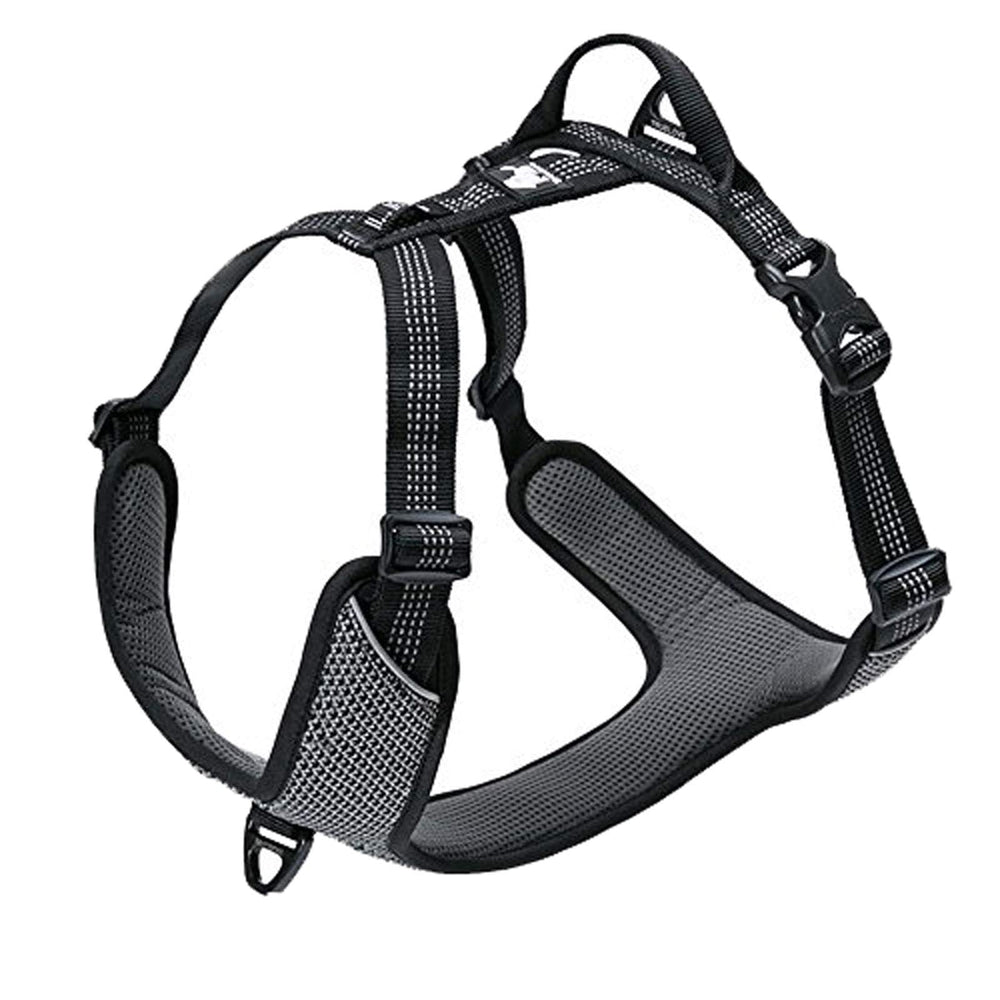 TRUE LOVE Outdoor Adventure II harness front clip enhances walk control.