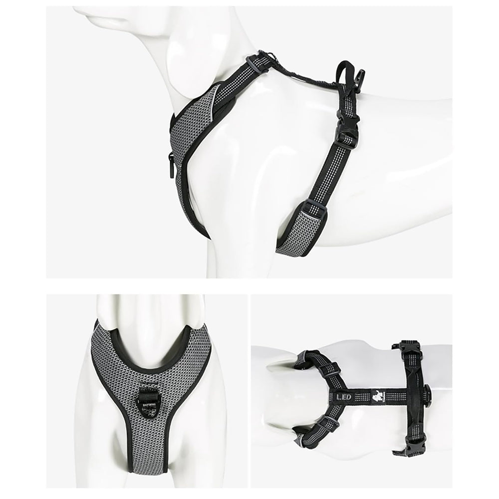 TRUE LOVE Outdoor Adventure II matching-gear bundle completes your walking set.