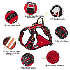 TRUE LOVE dog harness with two attachment points for enhanced control
