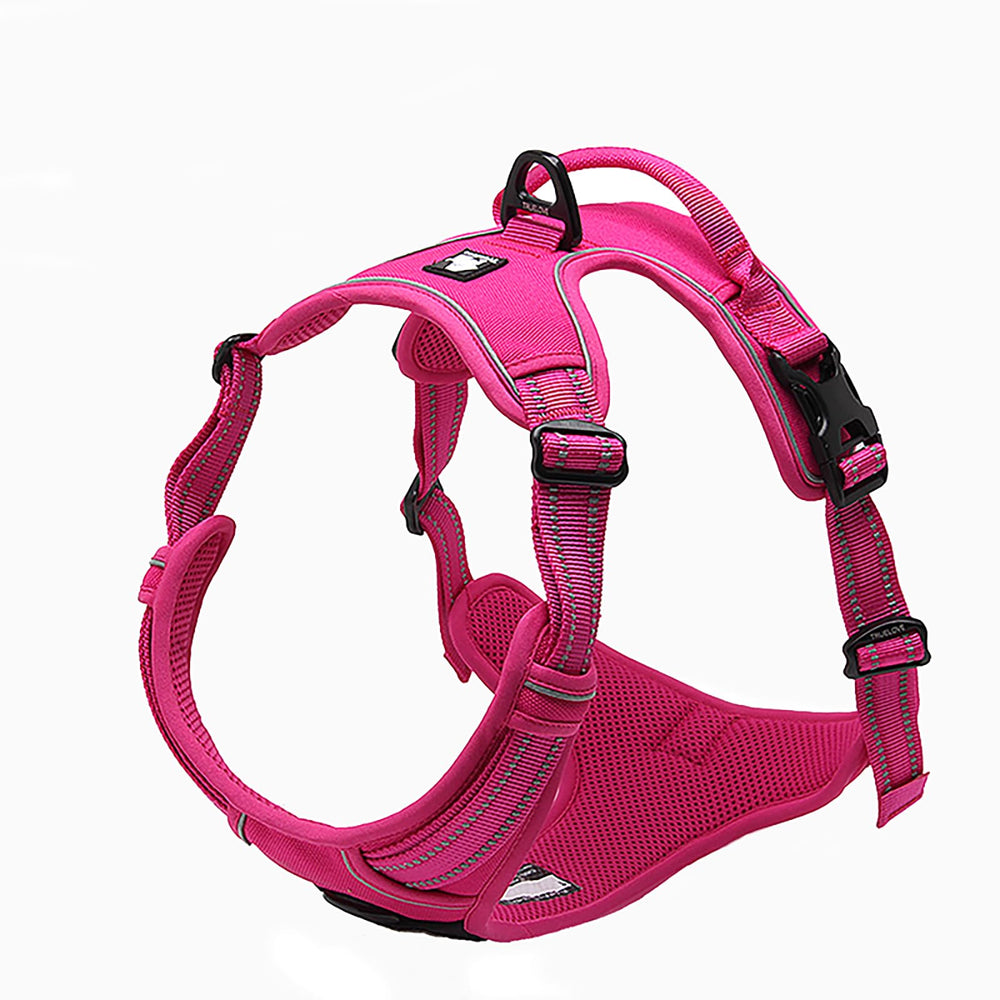 TRUE LOVE harness back-attachment view shows two-point control during walks.